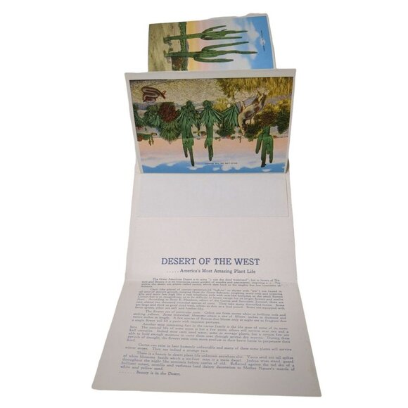 Vintage Postcard Fold Out The Desert Of The West USA‎ 1940s Unposted Color - Picture 6 of 6